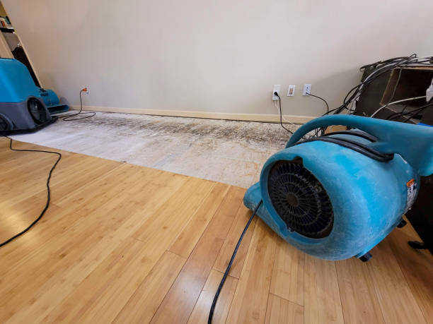 Professional Structural Drying technician working in Lincoln, NH